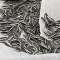 601 long size Sunflower Seed specification